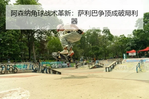 a-sen-na-jiao-qiu-zhan-shu-ge-xin-sa-li-ba-zheng-ding-cheng-po-ju-li-qi-2-733.jpg